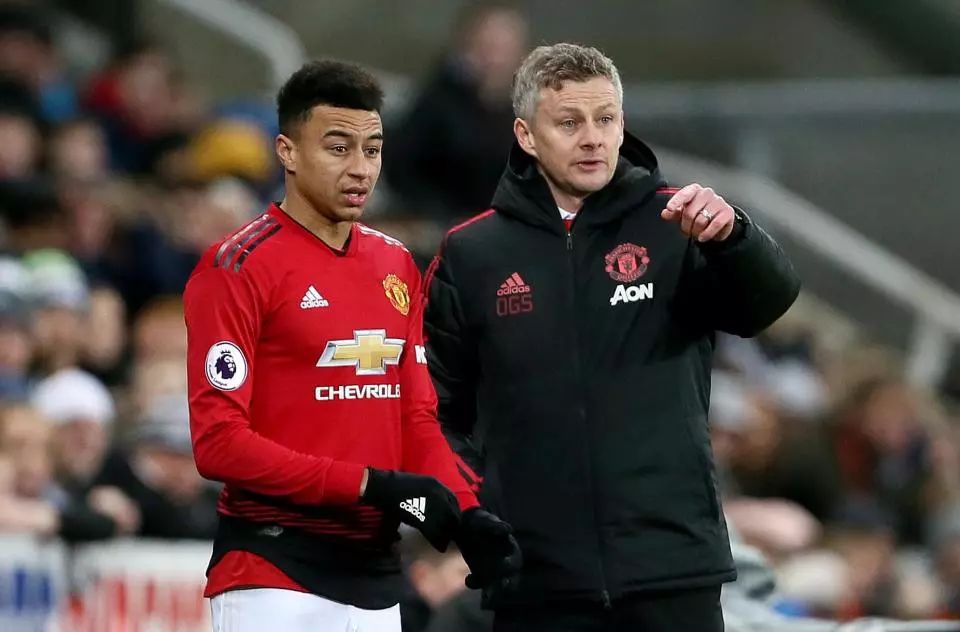 持者的广泛 持者的广泛