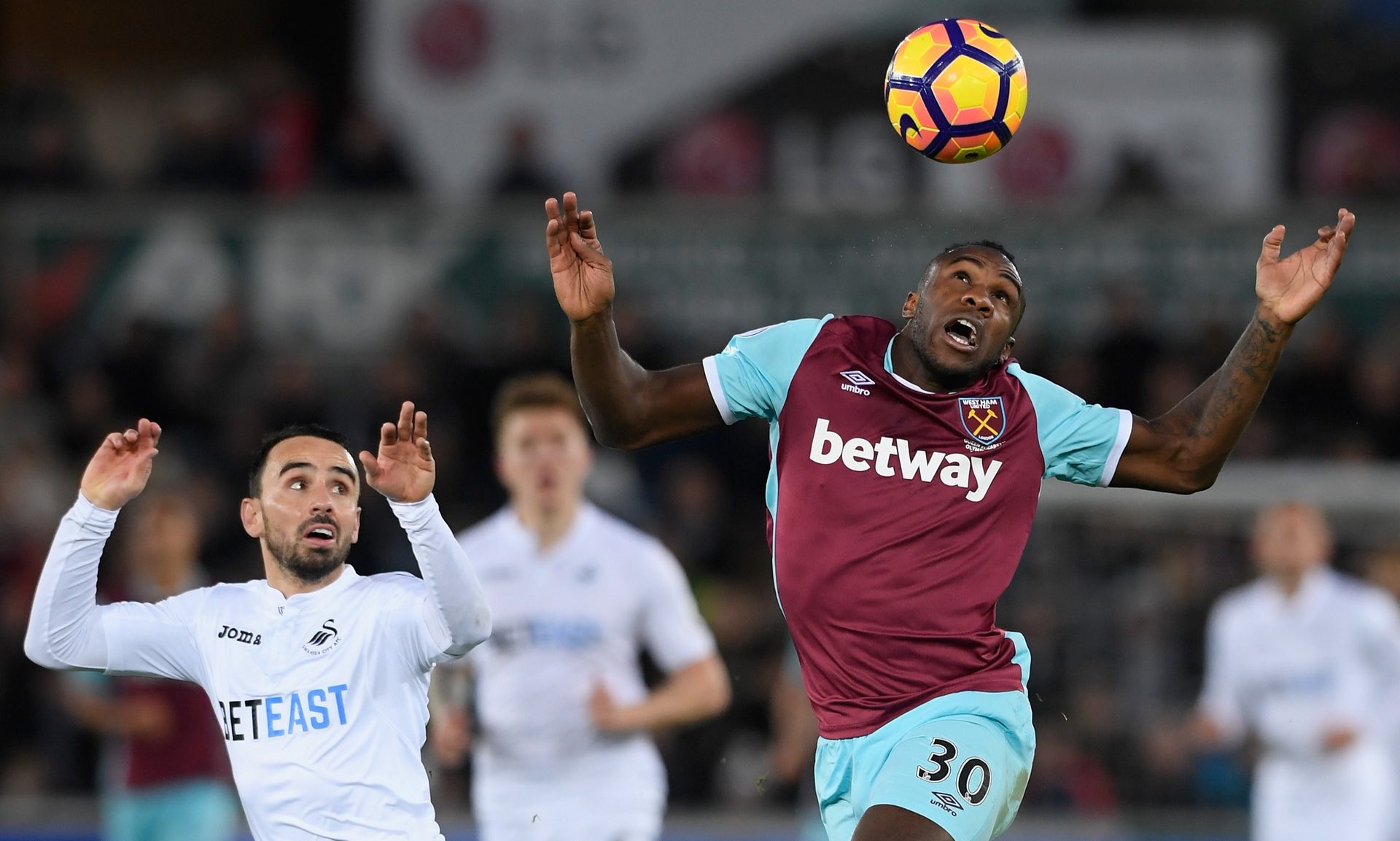 日益謹慎的 日益謹慎的